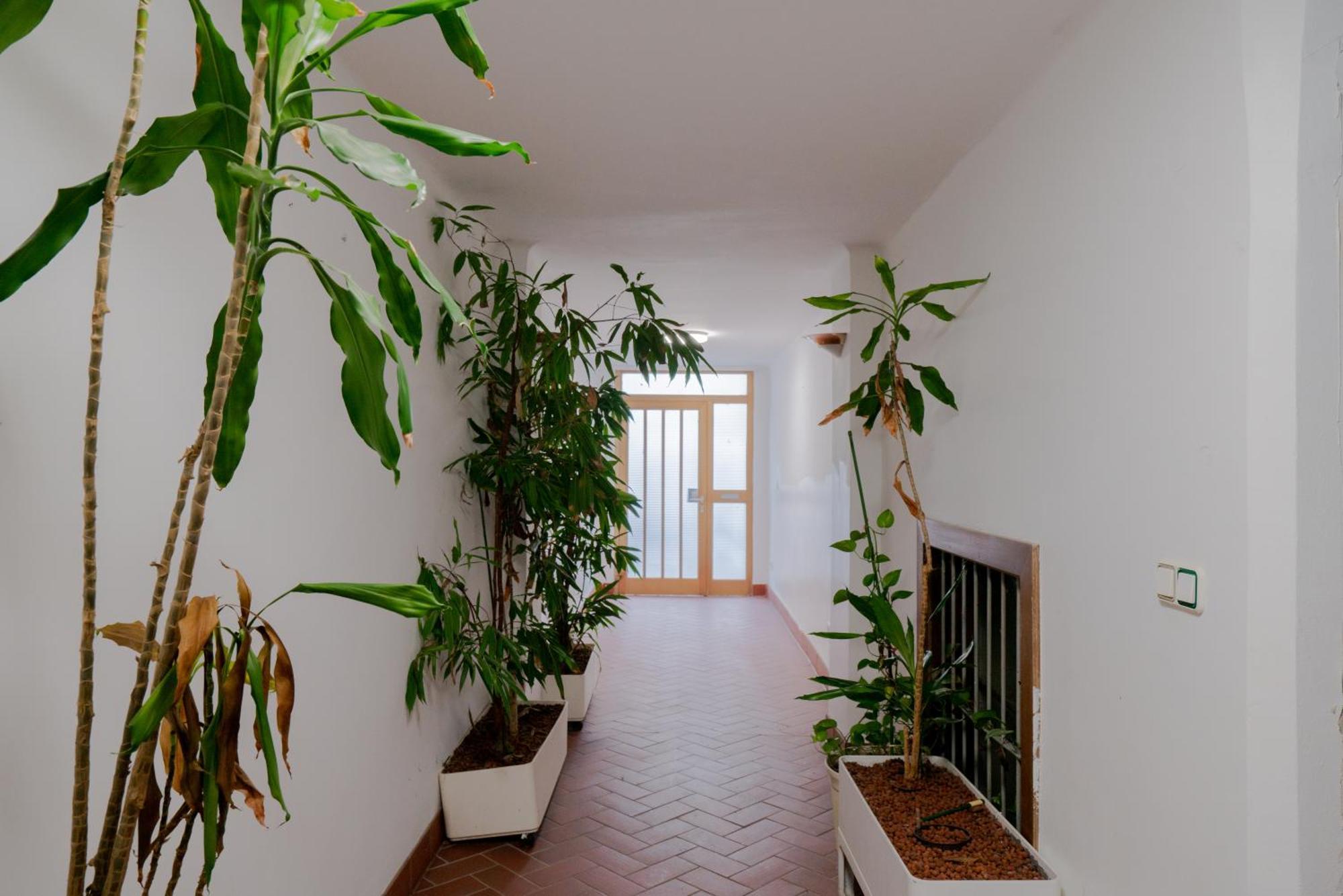 Hébergement de vacances Bessemer - Charming With Garden Vienne